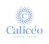 CALICEO